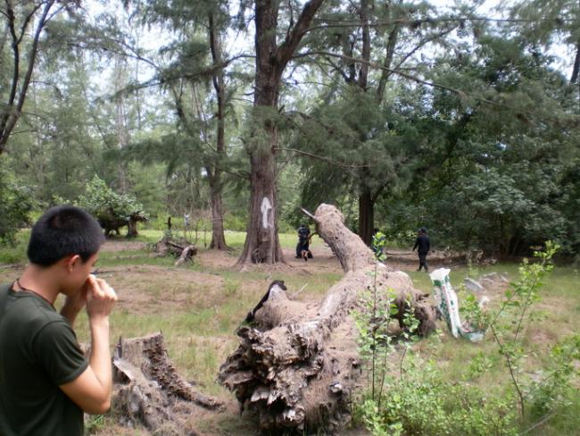 SANY7368.jpg